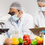Foodborne disease ‘worse than reported’