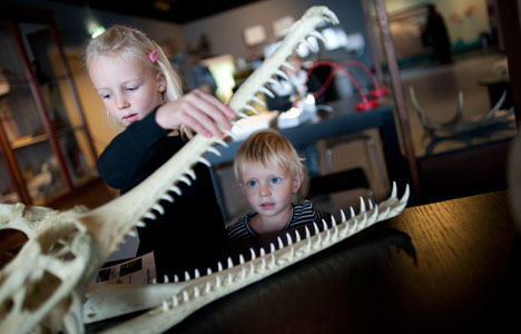 Kids at Zoological Museum. Photo: Christian Lindgren/Copenhagen Media Center