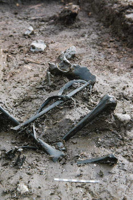 The human skeleton belonged to a woman in her twenties. Photo: Jacob Due/Moesgaard Museum