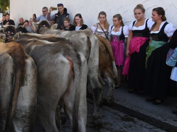 Seven weird things about life in Austria you need to get used to