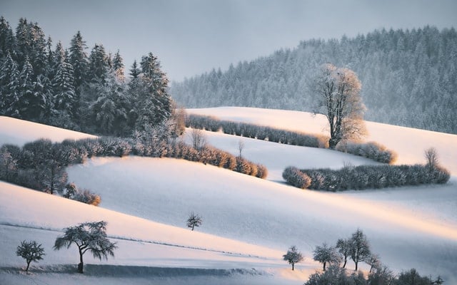 Which parts of Austria will have a white Christmas this year?