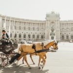 Here are over 20 things you can do in Vienna for free